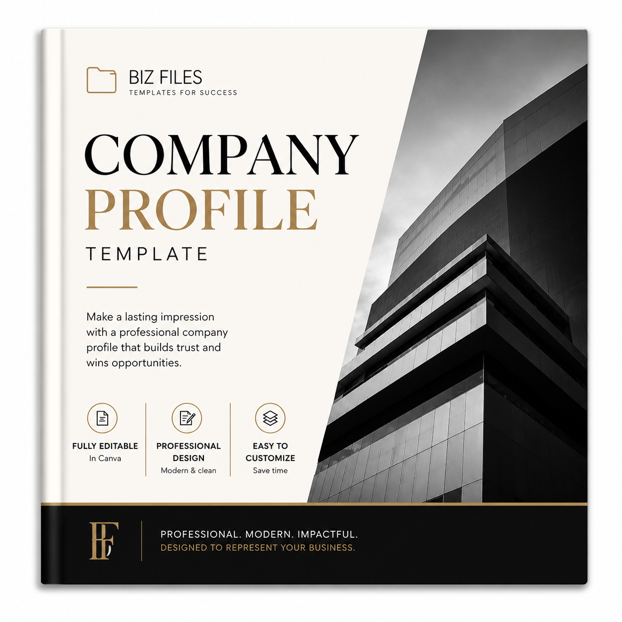 Company Profile Master Template